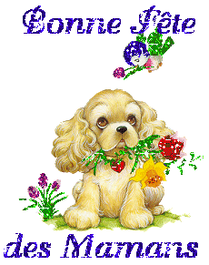 bonne fête  maman petit chien